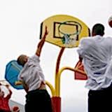 Basket Potası 44