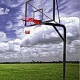 Basket Potası 8